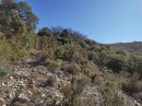 Sur les hauteurs